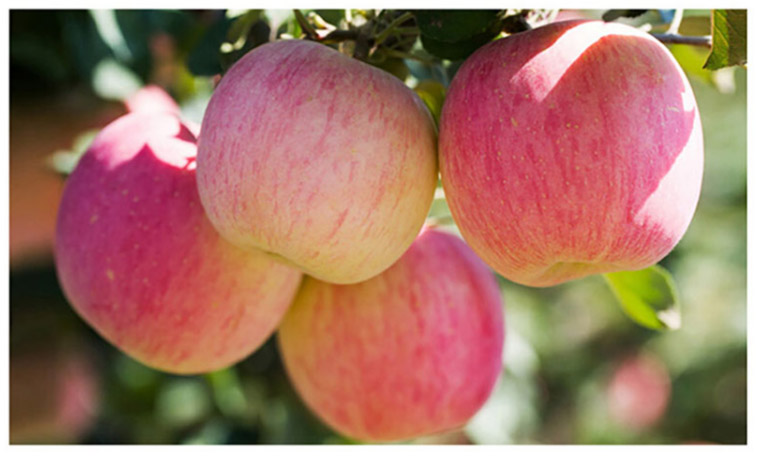 1567047313202351.jpeg 98754.jpg